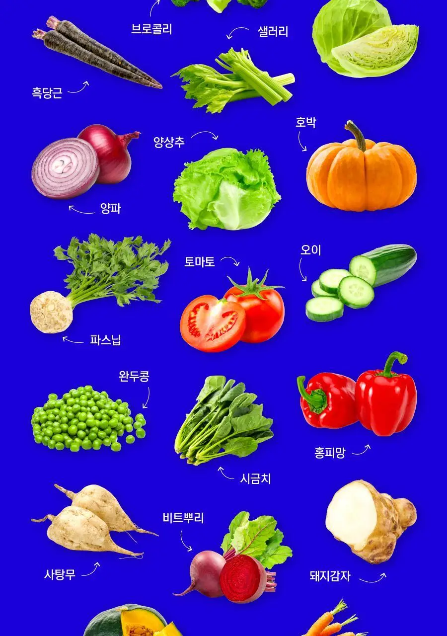 [샐러드캔디 약통증정]길팁 사과맛 샐러드캔디 30정(1개월분) 상세페이지 21